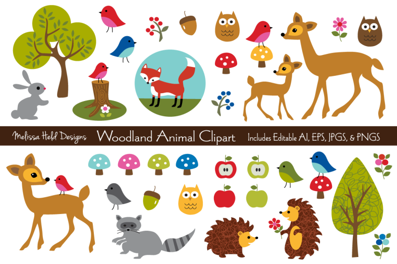 woodland-animal-clipart-graphics