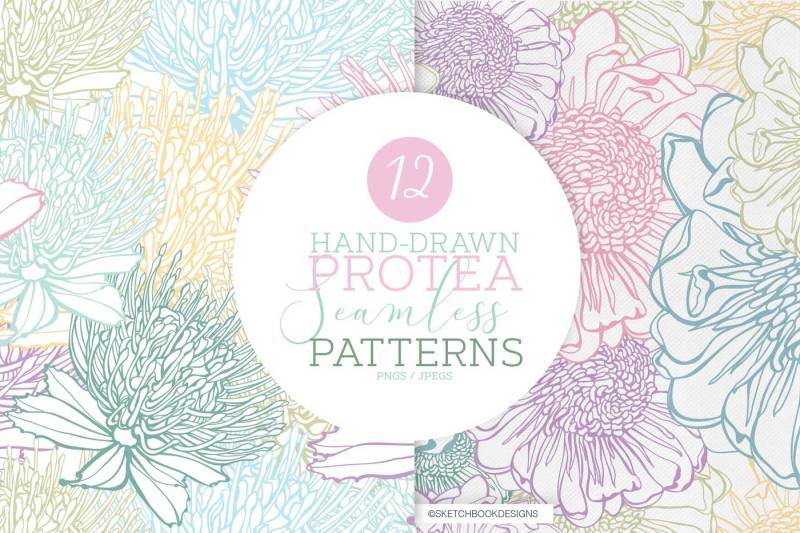 mini-set-of-hand-drawn-protea-seamless-patterns