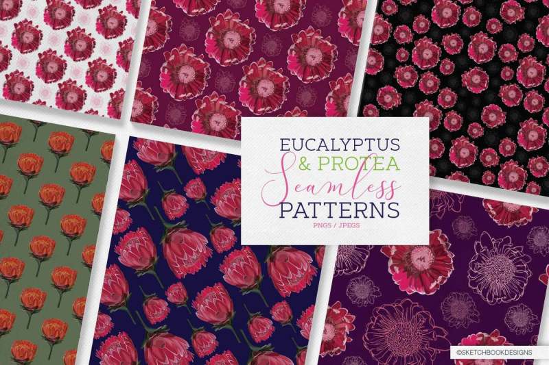 protea-and-eucalyptus-pattern-set