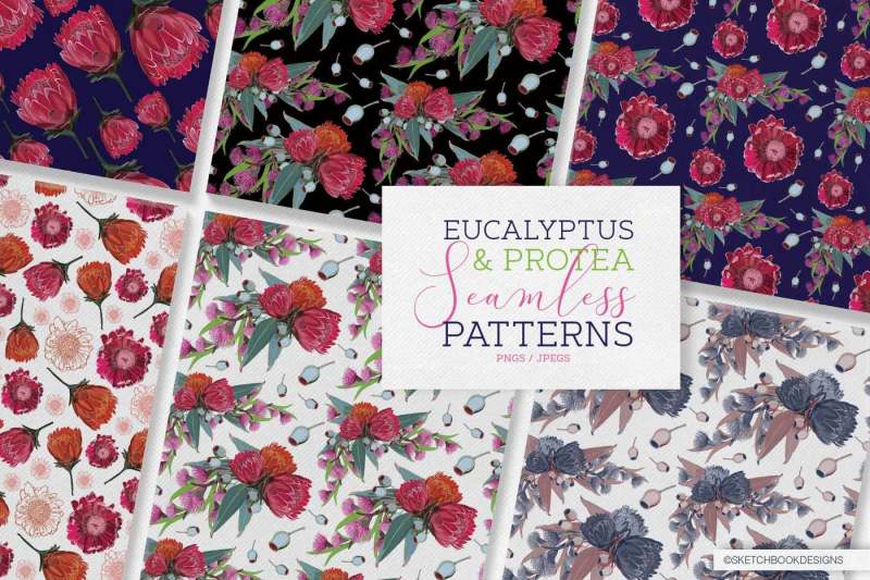 protea-and-eucalyptus-pattern-set