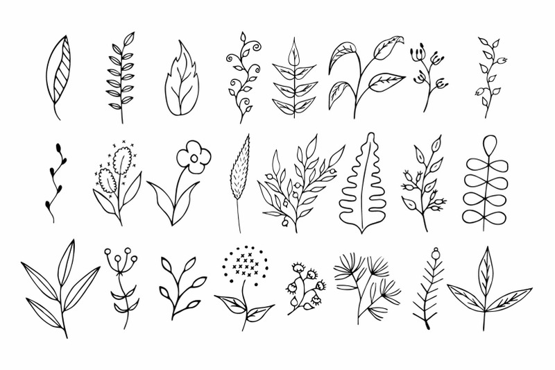 110-hand-drawn-floral-design-elements
