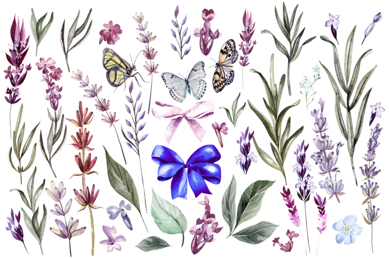 hand-drawn-watercolor-lavender-2