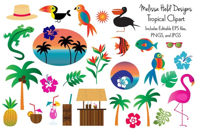 Tropical Clipart By Melissa Held Designs | TheHungryJPEG.com