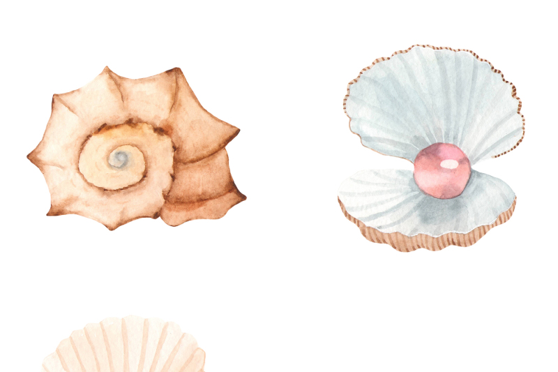 marine-animals-and-plants-sea-creatures-watercolor-clipart