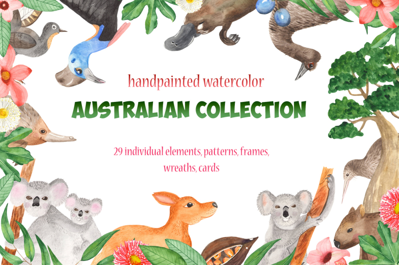 australian-animals-and-palnts-watercolor-clipart-frames-cards