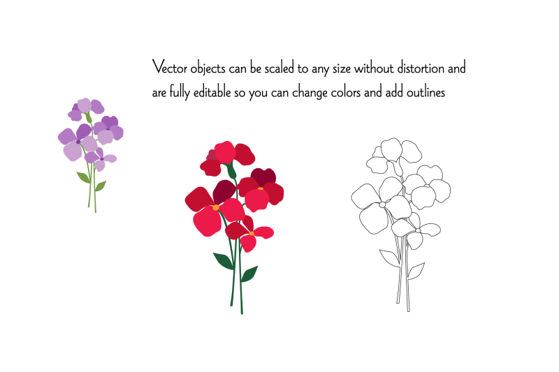 hand-drawn-vector-flowers-clipart
