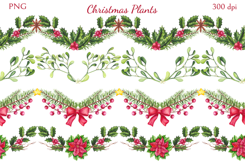 christmas-plants