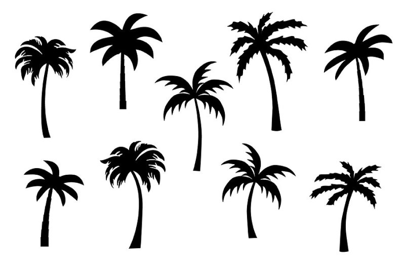 palm-trees-clipart