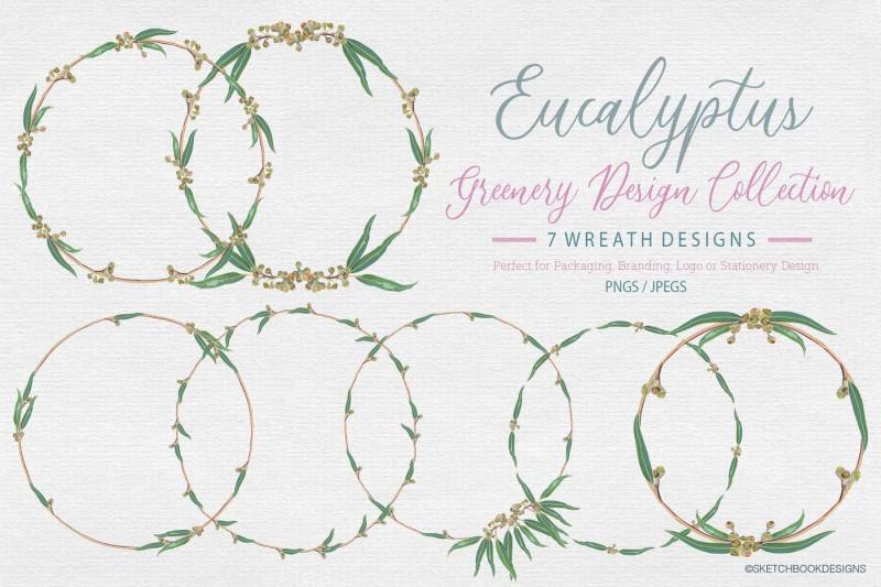 eucalyptus-greenery-design-set