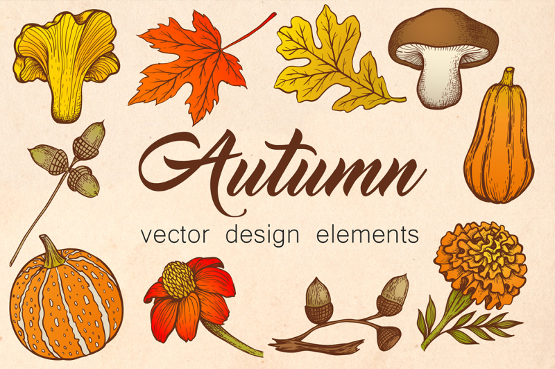 autumn-vector-design-elements