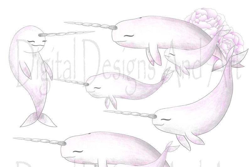 narwhals-clipart