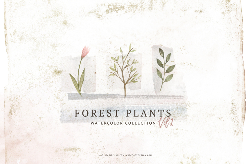 watercolor-forest-plants
