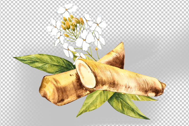 ginger-and-horseradish