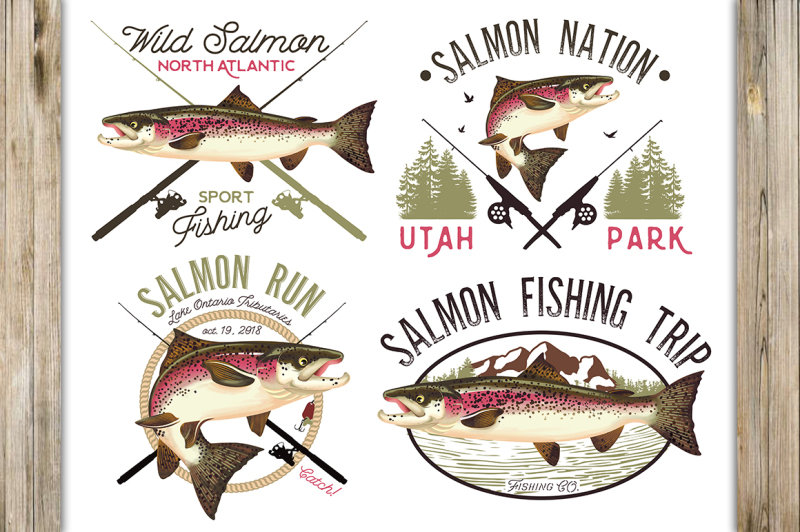 salmon-fish-illustration