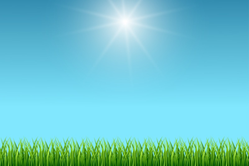 clean-blue-sky-and-green-grass-vector-background