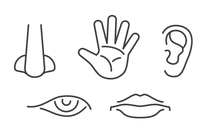 five-senses-vector-icons-set-isolated-white