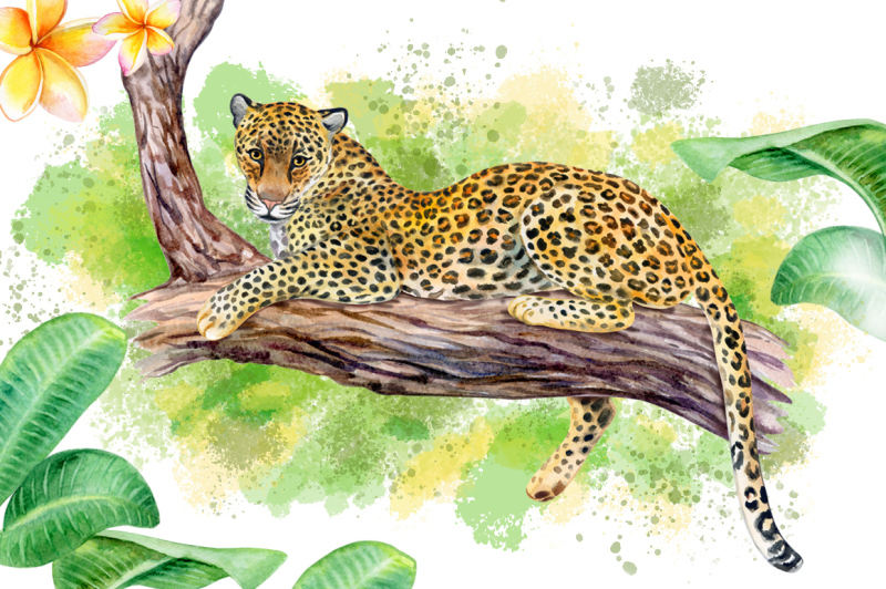 watercolor-leopards-wild-cats