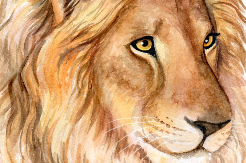 lion-family-watercolor