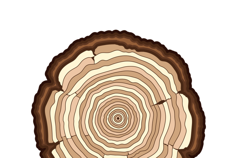 vector-brown-tree-rings-cut-trunk-isolated-white