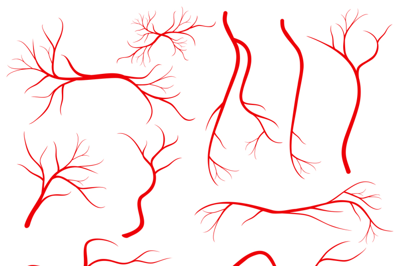 human-eye-veins-vessel-blood-arteries-isolated-on-white-vector-set
