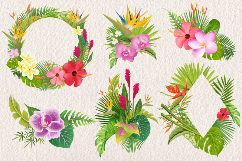 tropical-floral-plants-and-frames-set