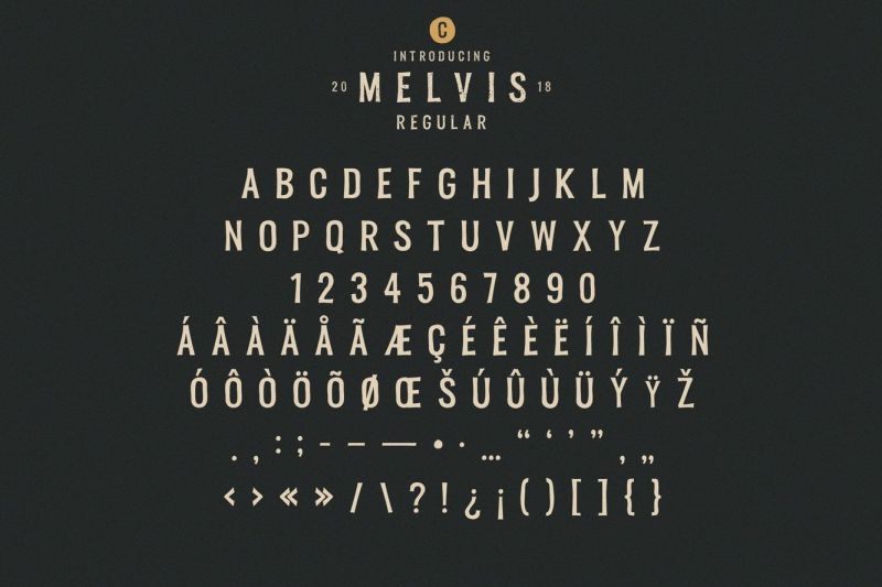 Melvis Vintage Font Family Extras By Craft Supply Co Thehungryjpeg Com