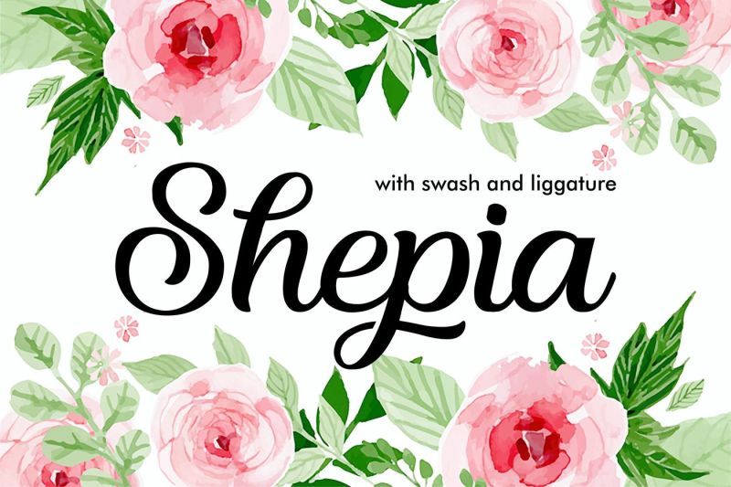 shepia-beauty-script