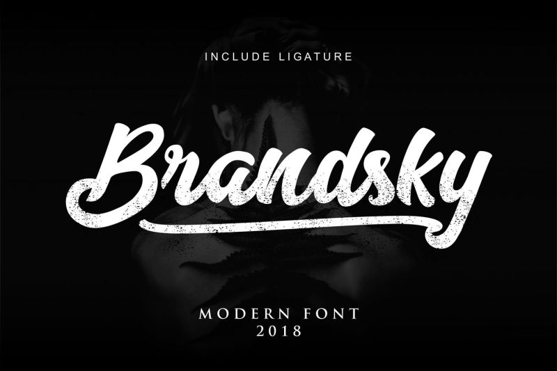 brandsky-logo-font