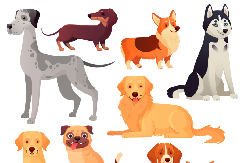 dogs-pets-character-labrador-dog-golden-retriever-and-husky-cartoon