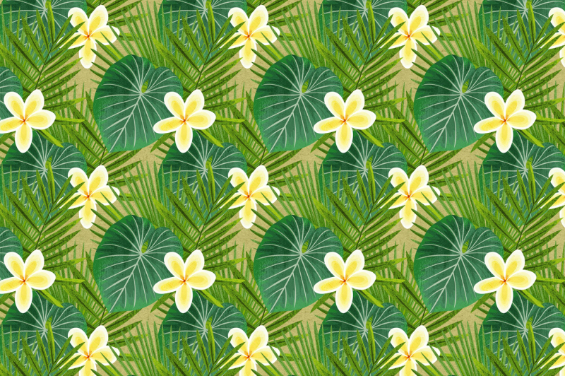 tropical-foliage-png-graphic-elements