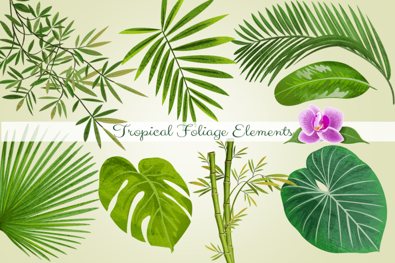 tropical-foliage-png-graphic-elements