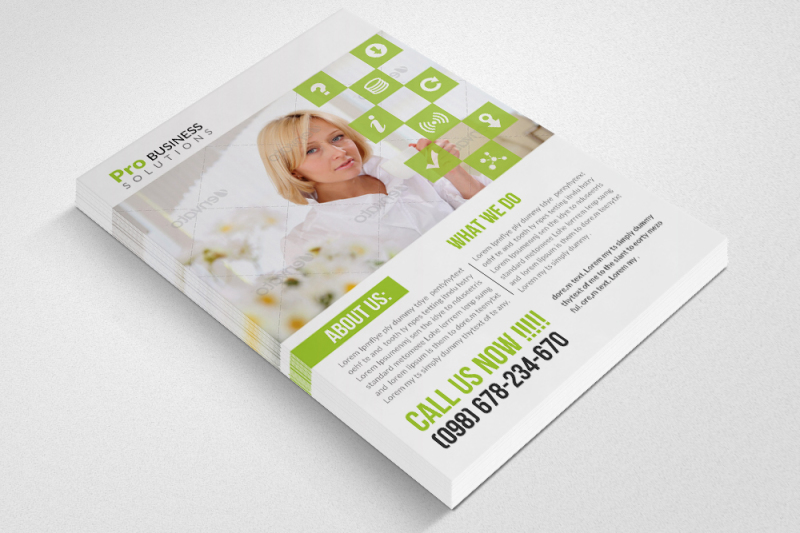 business-dealer-agency-flyers