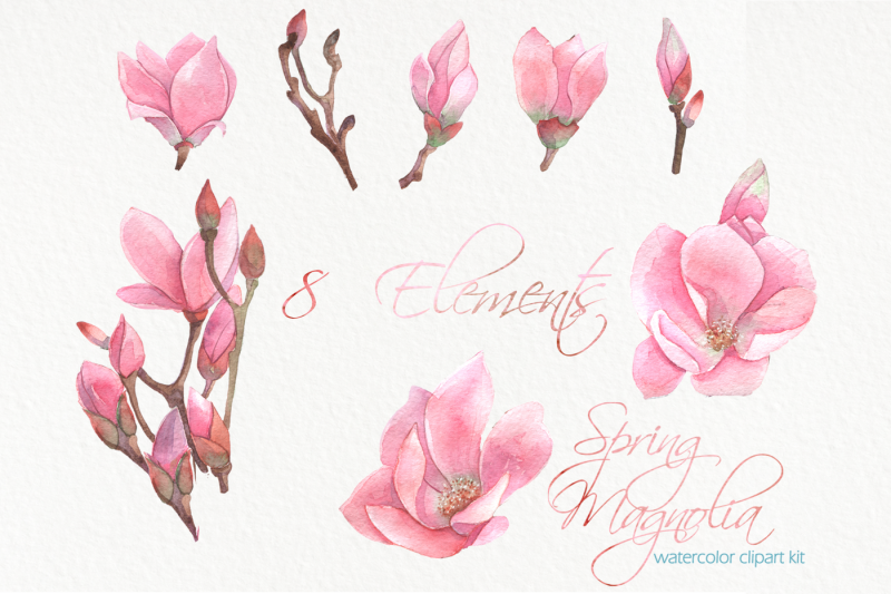 watercolor-birds-on-a-pink-magnolia-branch-clipart-kit