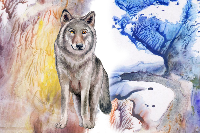watercolor-wolf