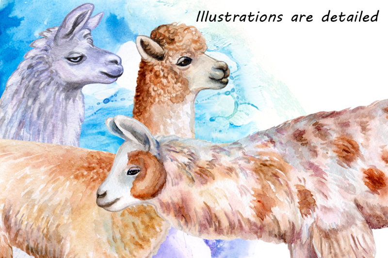 llamas-and-alpacas-watercolor