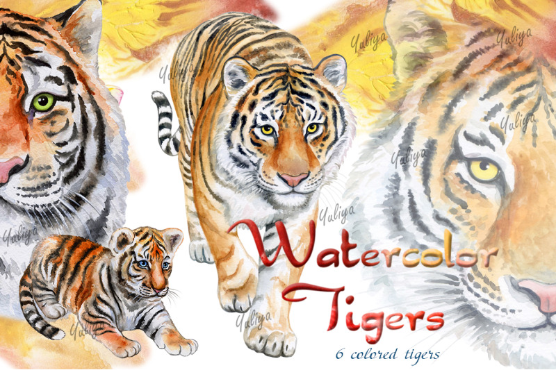 tigers-watercolor-illustrations