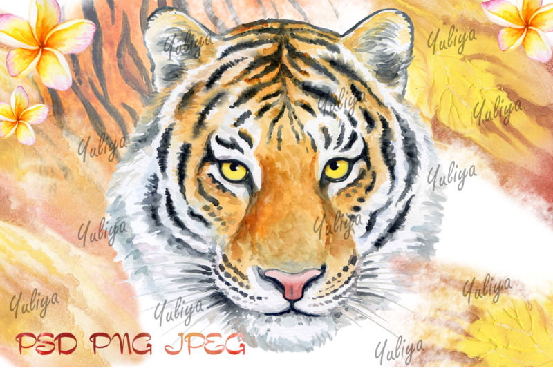 tigers-watercolor-illustrations