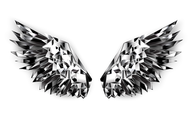 black-mirror-wings