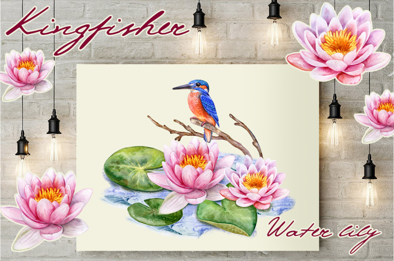 kingfisher-and-pink-lotuses