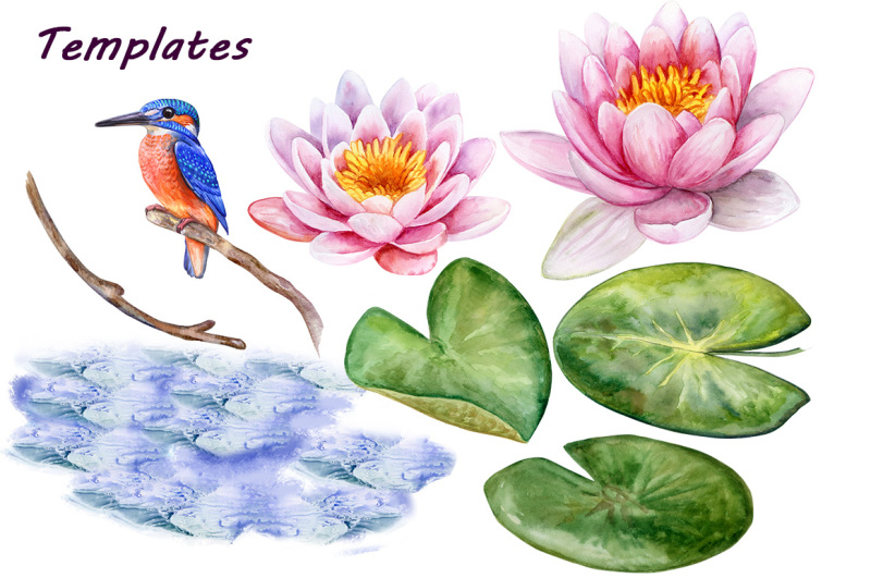 kingfisher-and-pink-lotuses