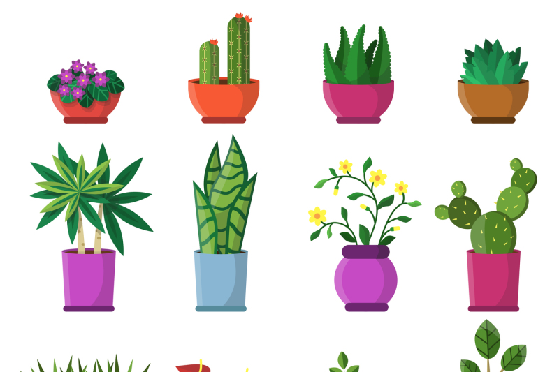 house-plants-in-pots-vector-illustrations-in-flat-style