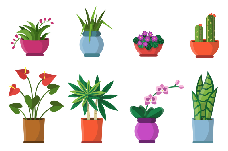 vector-illustrations-of-house-plants-in-pots