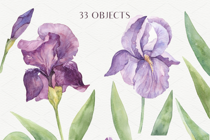 watercolor-irises