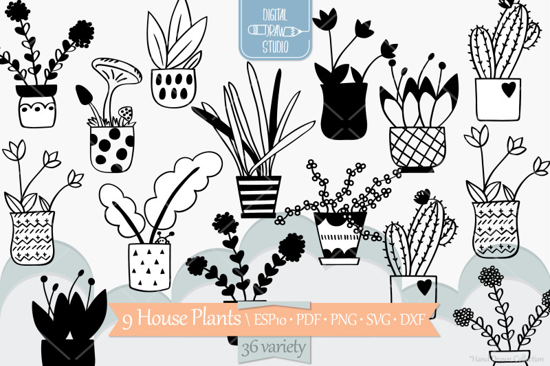 house-plants-hand-drawn-cactus-in-flower-pot-hanging-indoor-plant