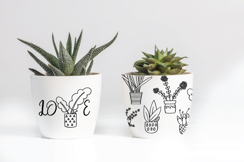 house-plants-hand-drawn-cactus-in-flower-pot-hanging-indoor-plant