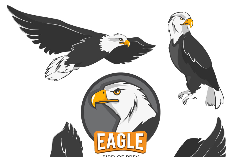 collection-of-cartoon-eagles-flying-birds-isolate-on-white
