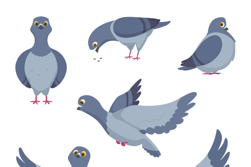 cartoon-set-of-funny-pigeons-illustrations-of-birds