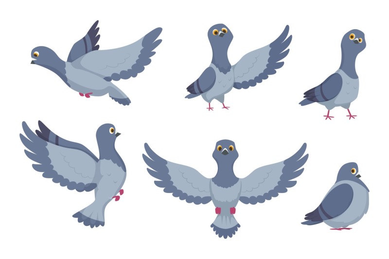 vector-collection-of-cartoon-pigeons