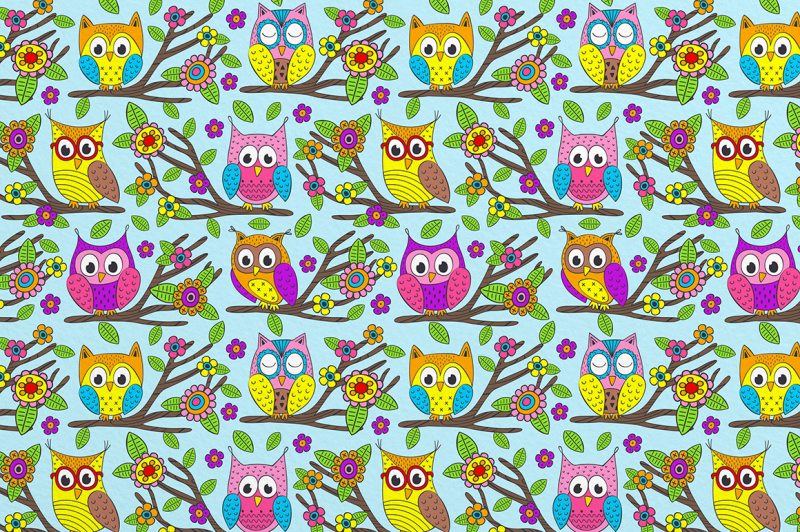 funny-owls-collection