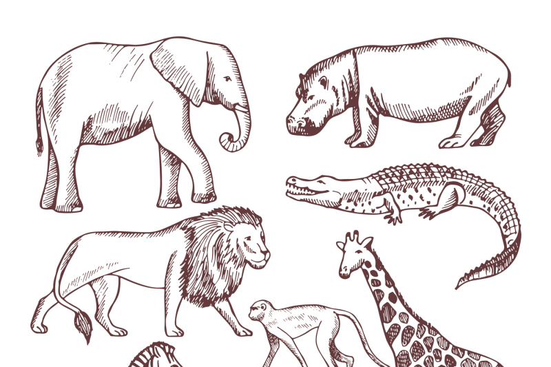 different-animals-of-savana-and-africa